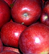 On Tap Oil & Vinegar Red Apple Balsamic Vinegar