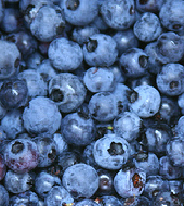 On Tap Oil & Vinegar Wild Blueberry Balsamic Vinegar