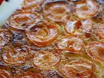 Apricot and Olive Oil Cake