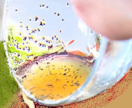 On Tap Oil & Vinegar Honey-Lime Poppyseed Dressing
