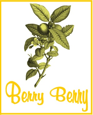 On Tap Berry Berry Tea