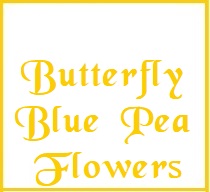 Butterfly Blue Pea Flowers Tea