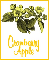Cranberry Apple Tea