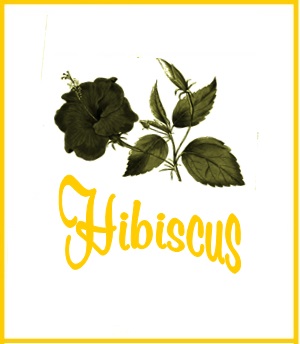 On Tap Hibiscus Tea