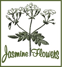 Jasmine Flowers Tea