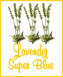 Lavender Super Blue Tea