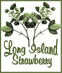 Long Island Strawberry Tea