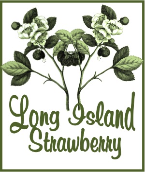 On Tap Long Island Strawberry Tea