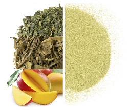 On Tap Mango Matcha (Organic) Tea