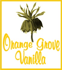 Orange Grove Vanilla Tea