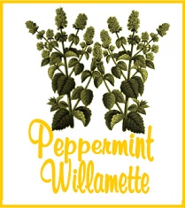 Peppermint Willamette Tea